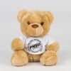Bear in a t-shirt Thumbnail