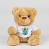Bear in a t-shirt Thumbnail